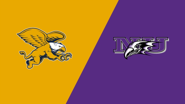 决赛亮点 决赛亮点