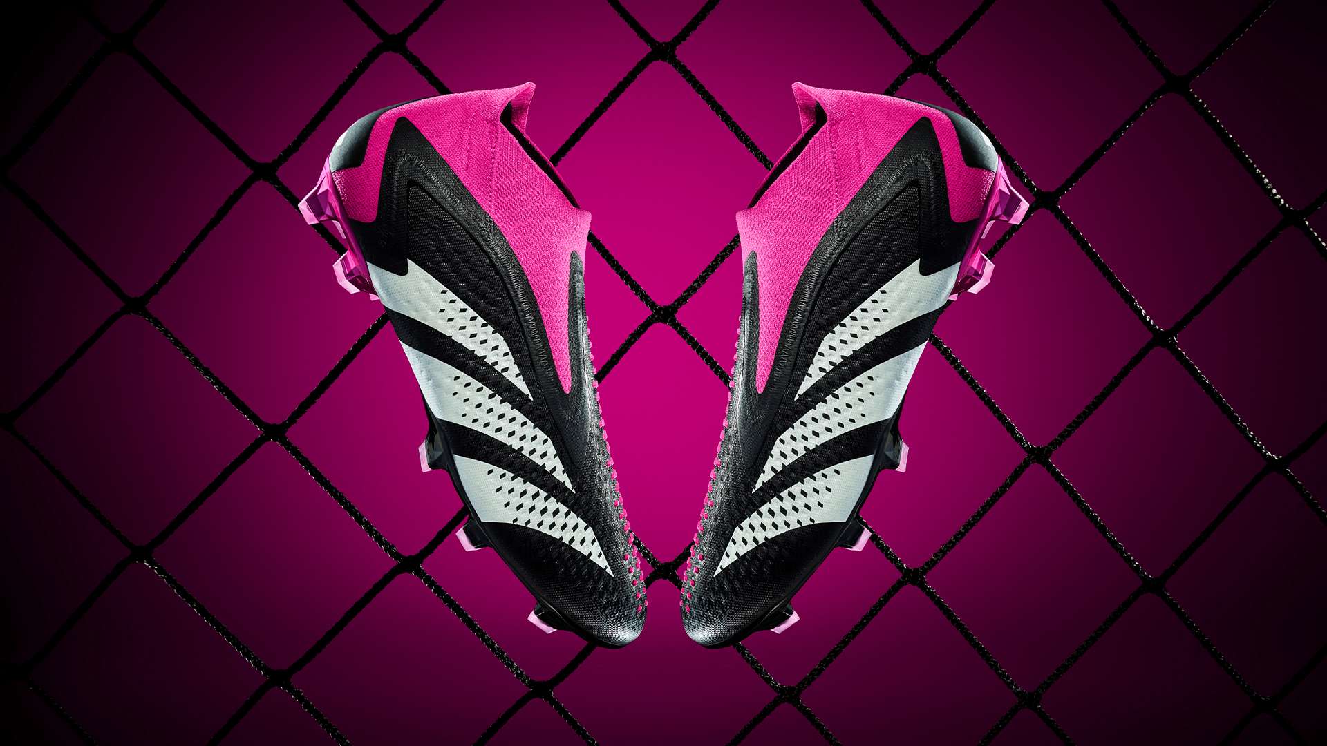 十二生肖打 十二生肖打